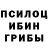 Галлюциногенные грибы Magic Shrooms Anvarjon010