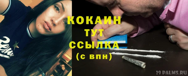 MESCALINE Горняк