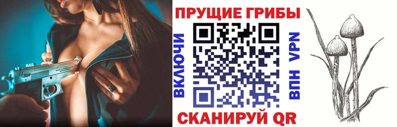 Галлюциногенные грибы Psilocybine cubensis наркошоп Дмитровск
